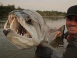 Peche Xxl