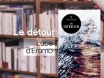 La p'tite librairie - Le détour - Luce d'Eramo