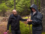 Le mystère d'Oak Island : la course au trésor - S9E7 - La racine du problème