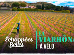 Échappées belles - La ViaRhôna à vélo
