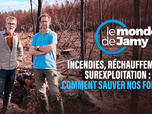 Le monde de Jamy - Incendies, réchauffement, surexploitation : comment sauver nos forêts ?