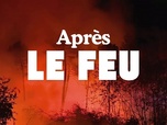 La France en Vrai - Nouvelle-Aquitaine - Après le feu