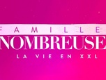 Familles nombreuses : la vie en XXL