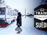 Des trains pas comme les autres
