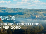 Des Racines et Des Ailes - Passion patrimoine : terroirs d'excellence en Périgord