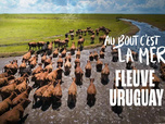 Au bout c'est la mer - 19/08/2026