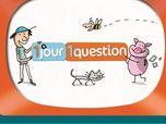 1 jour, 1 question