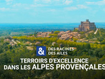 Des Racines et Des Ailes