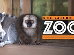 Une saison au zoo - S9 E36