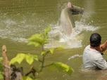 Pêche XXL - S1E3 - Les dinosaures de l'Amazonie