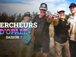 Chercheurs d'opale - S7E5 - Retour aux sources