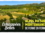 Échappées belles
