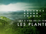 Science grand format - Les 5 vies de la Terre - Les plantes